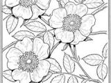 Coloriage Rosier You Could totally Use This as A Stencil for Draw A Picture A