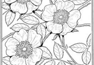 Coloriage Rosier You Could totally Use This as A Stencil for Draw A Picture A