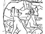 Coloriage Rox Et Rouky Coloriage Rox Et Rouky   Imprimer