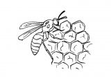 Coloriage Ruche D Abeille Dessin Abeille Ruche Yx19 7673 Dessin Ruche Abeille