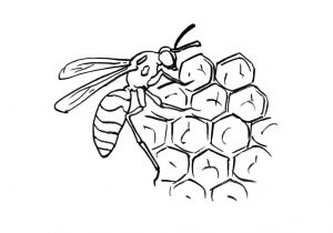 Coloriage Ruche D Abeille Dessin Abeille Ruche Yx19 7673 Dessin Ruche Abeille