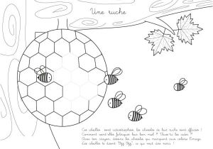 Coloriage Ruche D Abeille Dessin Abeille Ruche Yx19