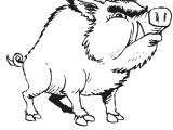 Coloriage Sanglier A Imprimer Coloriage Sanglier   Imprimer Et Colorier