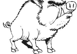 Coloriage Sanglier A Imprimer Coloriage Sanglier Imprimer Et Colorier Coloriage Sanglier A Imprimer Coloriage Sanglier Imprimer Et Colorier