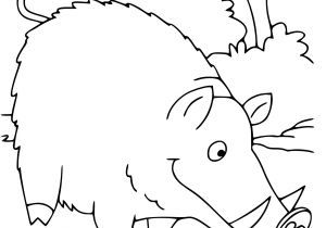 Coloriage Sanglier A Imprimer Gratuit Coloriage Sanglier Dessin  Imprimer Sur Coloriages Serapportant 