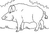 Coloriage Sanglier A Imprimer Sélection De Coloriage Sanglier   Imprimer Sur Laguerche Page 2