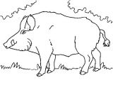 Coloriage Sanglier A Imprimer Sélection De Coloriage Sanglier   Imprimer Sur Laguerche Page 2