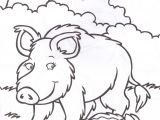Coloriage Sanglier Gratuit Animaux Sauvages