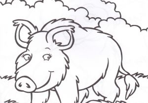Coloriage Sanglier Gratuit Animaux Sauvages