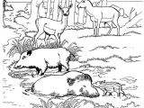 Coloriage Sanglier Gratuit Coloriage Zoo Sanglier Sur Hugolescargot