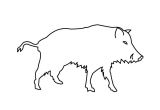 Coloriage Sanglier Gratuit Sélection De Coloriage Sanglier   Imprimer Sur Laguerche Page 1
