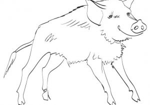 Coloriage Sanglier Gratuit Sélection De Coloriage Sanglier   Imprimer Sur Laguerche Page 2