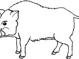 Coloriage Sanglier Marcassins Coloriage A Dessiner De Sanglier En Ligne Marcassins – Fashionzenfo