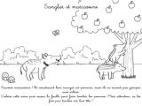 Coloriage Sanglier Marcassins Coloriage   Imprimer Sangliers Et Marcassins