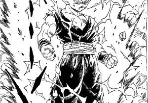 Coloriage Sangohan Super Sayen 3 the Best Gohan Ss2