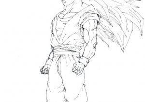 Coloriage Sangoku Super Sayen 4 Coloriage Dragon Ball Z Sangoku Super Sayen 3