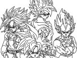 Coloriage Sangoku Super Sayen 5 Coloriage De Dragon Ball Z Sangoku Super Sayen 6