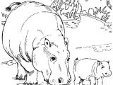 Coloriage Savane Imprimer Gratuit 374 Meilleures Idées Du Tableau Coloriages Animaux De La