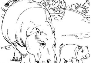 Coloriage Savane Imprimer Gratuit 374 Meilleures Idées Du Tableau Coloriages Animaux De La