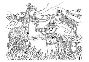 Coloriage Savane Imprimer Gratuit Animaux Coloriages Pour Enfants