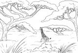 Coloriage Savane Imprimer Gratuit Coloriage Adulte Savane