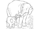 Coloriage Savane Imprimer Gratuit Coloriage Elephant Savane Jecolorie