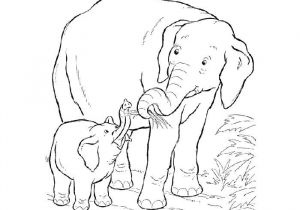 Coloriage Savane Imprimer Gratuit Coloriage Elephant Savane Jecolorie
