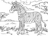 Coloriage Savane Imprimer Gratuit Coloriage Zebre Savane Dessin