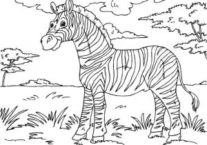 Coloriage Savane Imprimer Gratuit Coloriage Zebre Savane Dessin