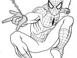 Coloriage Spider Man A Imprimer Coloriage De Spiderman Gratuit