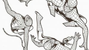 Coloriage Spider Man A Imprimer Coloriage Spiderman À Imprimer A4