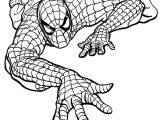 Coloriage Spiderman à Imprimer A4 20 Best Coloriages Spiderman Images On Pinterest