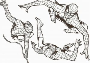 Coloriage Spiderman à Imprimer A4 Coloriage Spiderman   Imprimer