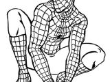 Coloriage Spiderman Noir à Imprimer 20 Best Coloriages Spiderman Images On Pinterest