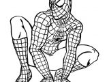 Coloriage Spiderman Noir à Imprimer 20 Best Coloriages Spiderman Images On Pinterest