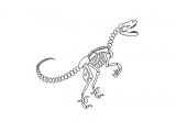 Coloriage Squelette Dinosaure 17 Meilleures Idées   Propos De Coloriage De Dinosaure Sur Pinterest