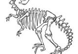 Coloriage Squelette Dinosaure Coloriage De Fossiles De Dinosaures Squelette De Triceraptor