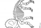 Coloriage Squelette Dinosaure Coloriage De Fossiles De Dinosaures Squelette De Triceraptor