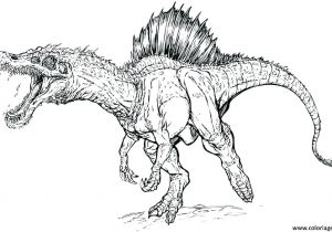 Coloriage Squelette Tyrannosaure Animaux Coloriage Dinosaure A Imprimer Coloriage Bacbac Dinosaure A