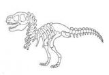 Coloriage Squelette Tyrannosaure Coloriage De Fossiles De Dinosaures Squelette De Triceraptor