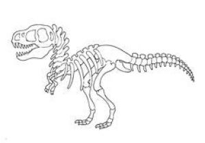Coloriage Squelette Tyrannosaure Coloriage De Fossiles De Dinosaures Squelette De Triceraptor
