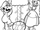 Coloriage Super Mario Bros 2 Coloriage Mario Dessin Jeux Vidéo