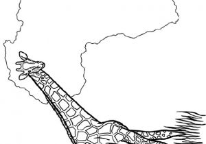 Coloriage Sur L Afrique A Colorier Un Dessin Représentant Le Continent Africain