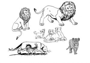 Coloriage Sur L Afrique Coloriage Afrique Maternelle Imprimer