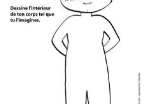 Coloriage Sur Le Corps Humain 77 Meilleures Images Du Tableau Marcel