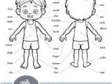 Coloriage Sur Le Corps Humain Coloriage Corps Humain Imprimer Gratuit Google Search