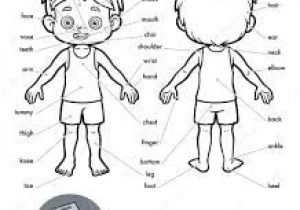 Coloriage Sur Le Corps Humain Coloriage Corps Humain Imprimer Gratuit Google Search