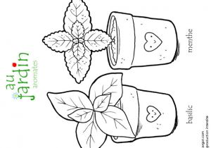 Coloriage Sur Le Jardinage Coloriage Découverte Les Aromates Du Jardin