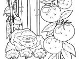 Coloriage Sur Le Jardinage Jardinage Au Potager Page 2 Sur 13 Sur Hugolescargot
