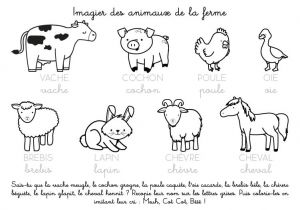Coloriage Sur Les Animaux De La Ferme Coloriage à Imprimer Imagier Des Animaux De La Ferme